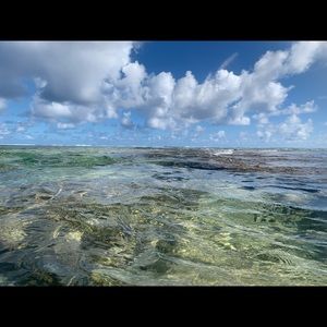 Meet your Posher, Shizuko